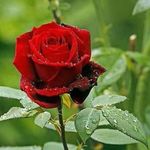 damienrowe - @damienrowe777 - Instagram