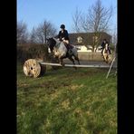 Damien Ryan - Facebook