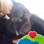Damien Sexton - @damien.sexton.3998 - Instagram