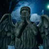 Damien Shaw - @damien.shaw7 - TikTok