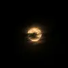 Damien Shaw - @damien.shaw19 - TikTok