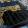 Damien Simon - @damien.simon6 - TikTok