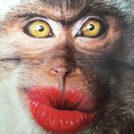 Damien Simpson - @simpsonetti - Instagram