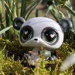 Damien Sinclair - @lps_dami_ - Instagram