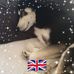 Damien Steele - Facebook