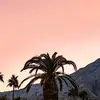 Damien Stone - @damien.stone0 - TikTok