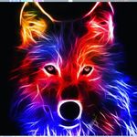 damien Suarez - @damien28 - Instagram