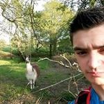 Damien Suarez - @damien.suarez.9 - Instagram