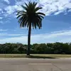 Damien Velez - @damienvelez - TikTok