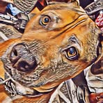 Damien Walker - Facebook