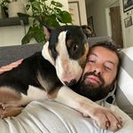 Damien Waller - @damien_in_thecountry - Instagram