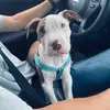 Damien_Waller - @damien_waller - TikTok