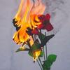 🥀 Damien 🥀 - @weirdo..damien - TikTok