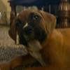 damien.weirds - @damien.weirds - TikTok