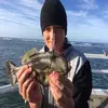 Damien welsh  - @aussiedamo - TikTok