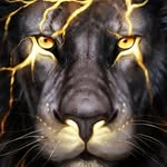 Damien - @damien.wiseman - Instagram