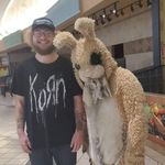 Damion Collins - @damioncollins33 - Instagram
