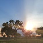 Sean Damion Patterson - @seandamionpatterson - Instagram