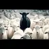 Damion Taylor - @damion.taylor7 - TikTok