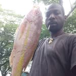 Damion Whyte - @dennywhyte783 - Instagram