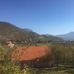 Damir Ferizović - Facebook