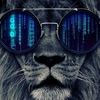 Damir TOMASHEV - @damirtomashev - TikTok