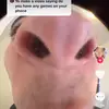 Damir white - @datyieattiktok - TikTok