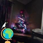 Damius Fleet - @fleetdamius - Instagram