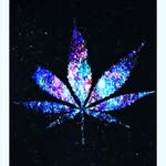 damla çömert - @damla1553 - Instagram