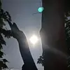 Damon Allen - @damon_allen - TikTok
