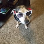 Damon Anthony - @damonanthony99 - Instagram