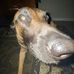 Damon Cadell - Facebook