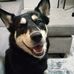Damon Campbell - Facebook