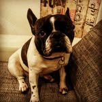 Damon Craft - @damon_craft - Instagram