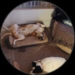 Damon Glenda Ashcraft - @damo.nashcraft - Instagram