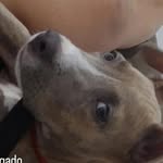 Damon_daniel - @damon_daniel2909 - Instagram