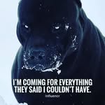Damon Demon - @sur_demon - Instagram