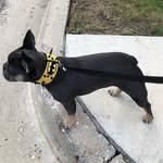 Damon Devasher - @dasavge1 - Instagram