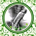 Dickson Damon - @dickson.damon.50 - Instagram