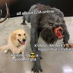 donovandamond - @donovandamond12 - Instagram