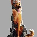 Damon Doss - @lightingmcqueengaming2 - Instagram