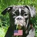 Damon Durre - Facebook