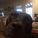 Damon Keith Duvall - @damon.k.duvall - Instagram