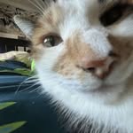 Damon Edwards - @damon.edwards.4365 - Instagram