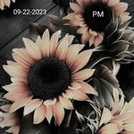 Damon Franklin - @damonfranklin36 - Instagram