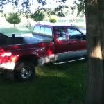 Damon Gardner - @cattlehauler1234 - Instagram