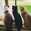 gracedamon1011 - @grace_damon_oliver - TikTok