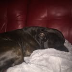 Damon - @damongreer67 - Instagram