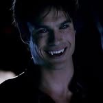 Damon - @damon_and_guzman - Instagram
