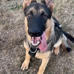 Dayton Howker - Facebook